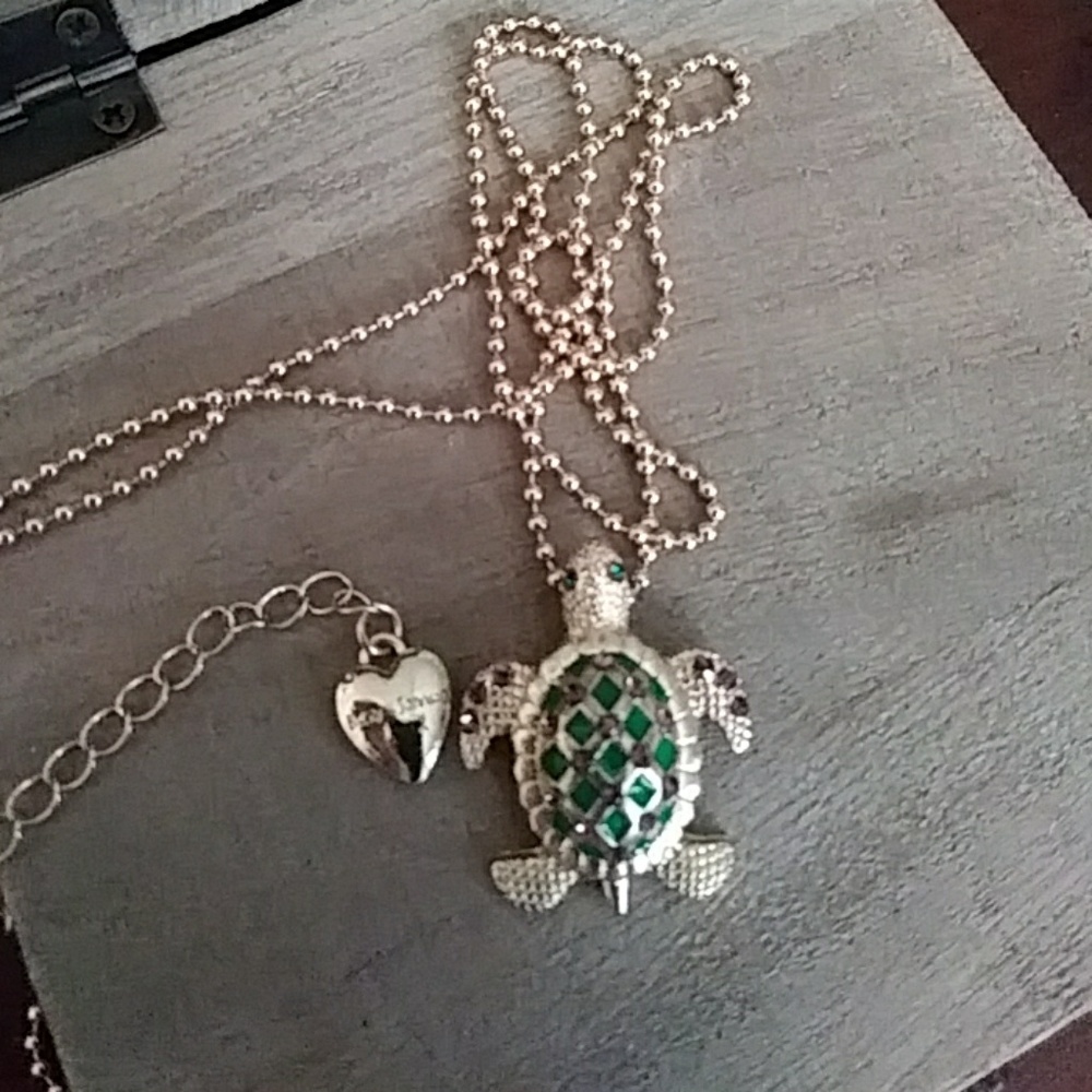 Betsey turtle